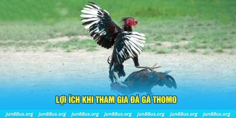 v9bet link casino TỶ LỆ BÓNG ĐÁ